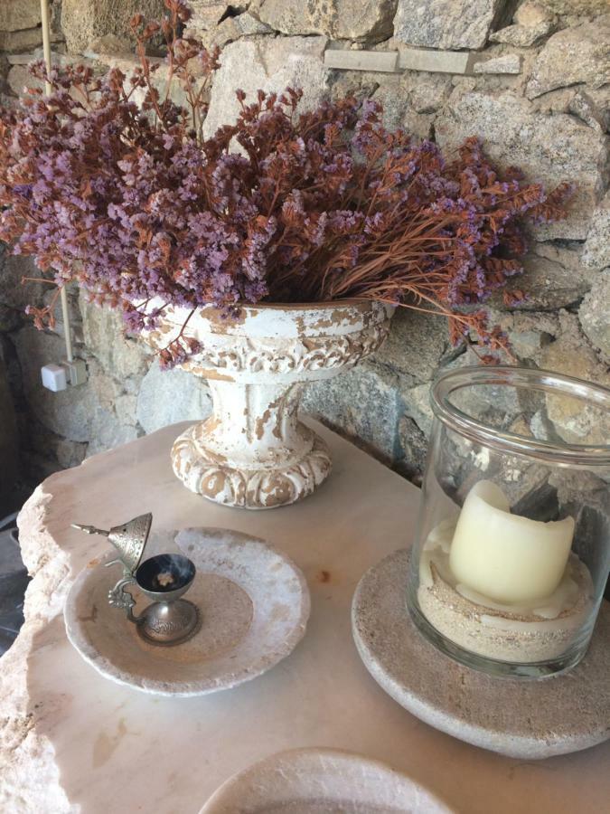 Beachfront Mykonos Guest House オルノス エクステリア 写真